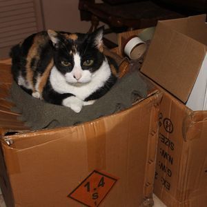 Meet your Posher, Marc